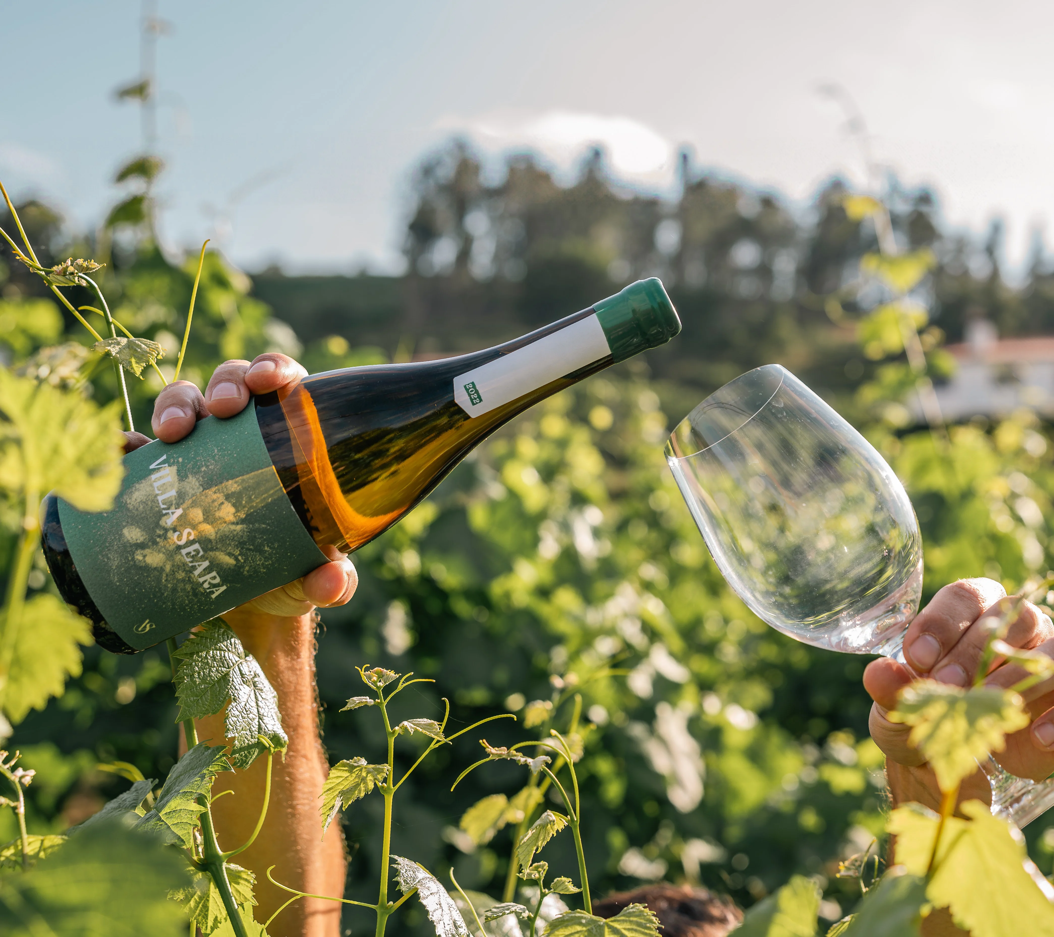 Villa Seara – Prova Vertical