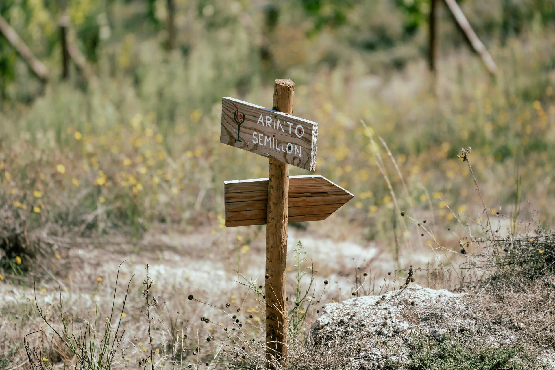 Villa Seara – Momento Gastronómico