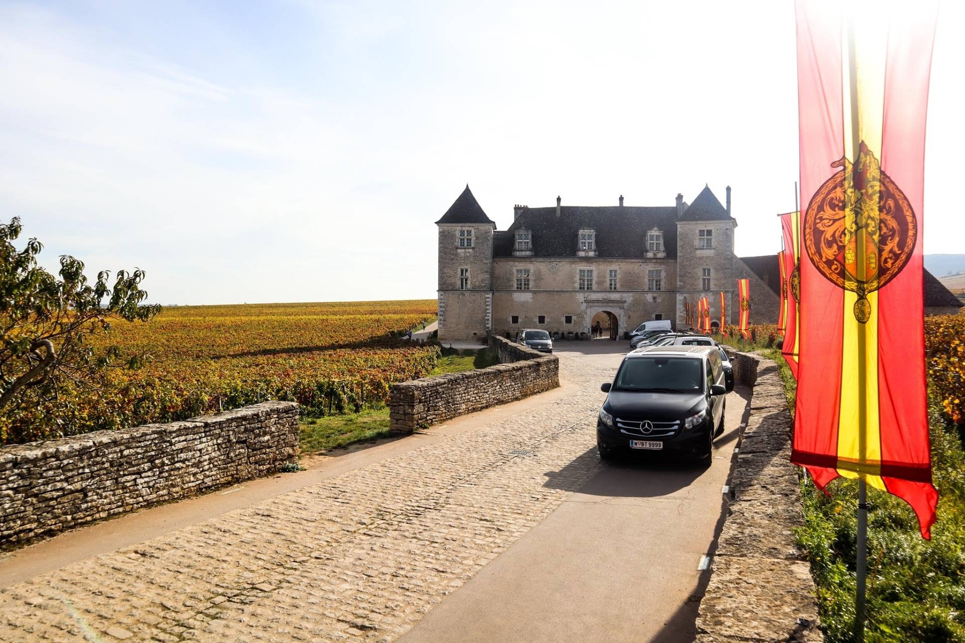 Safari on the Côte de Nuits with tasting