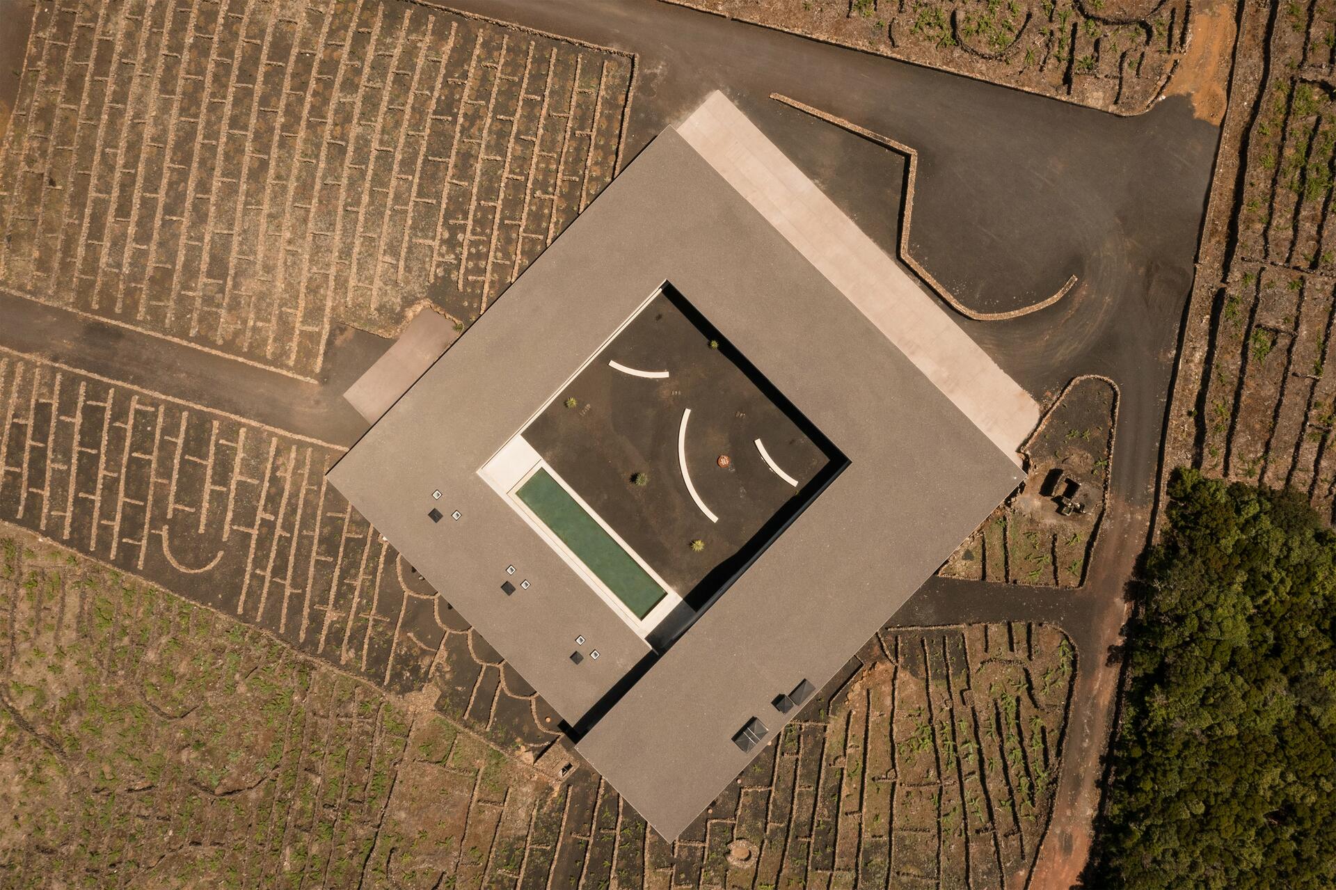 Azores Wine Company – Viagem das Castas