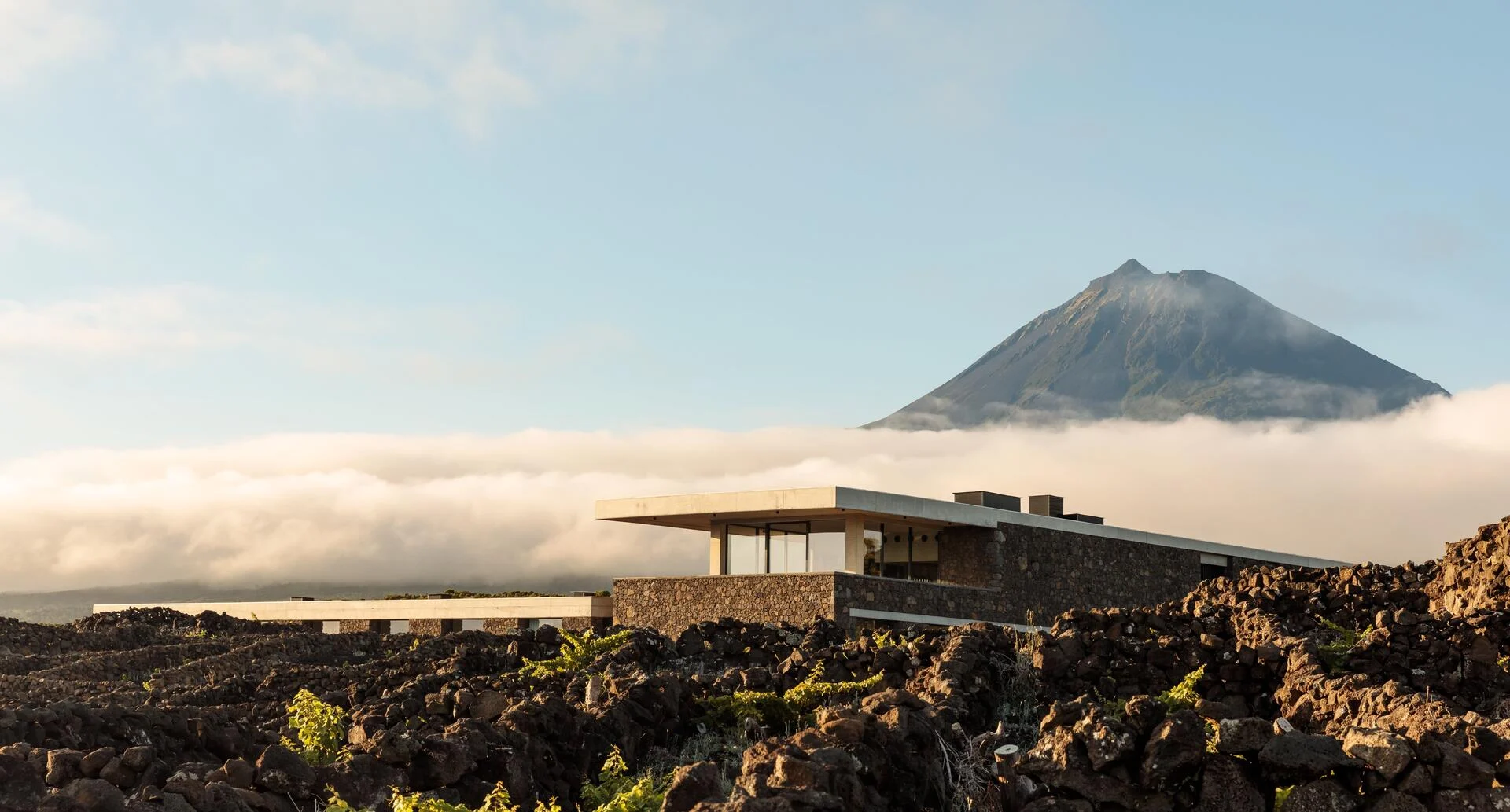 Azores Wine Company – Sal & Especiarias