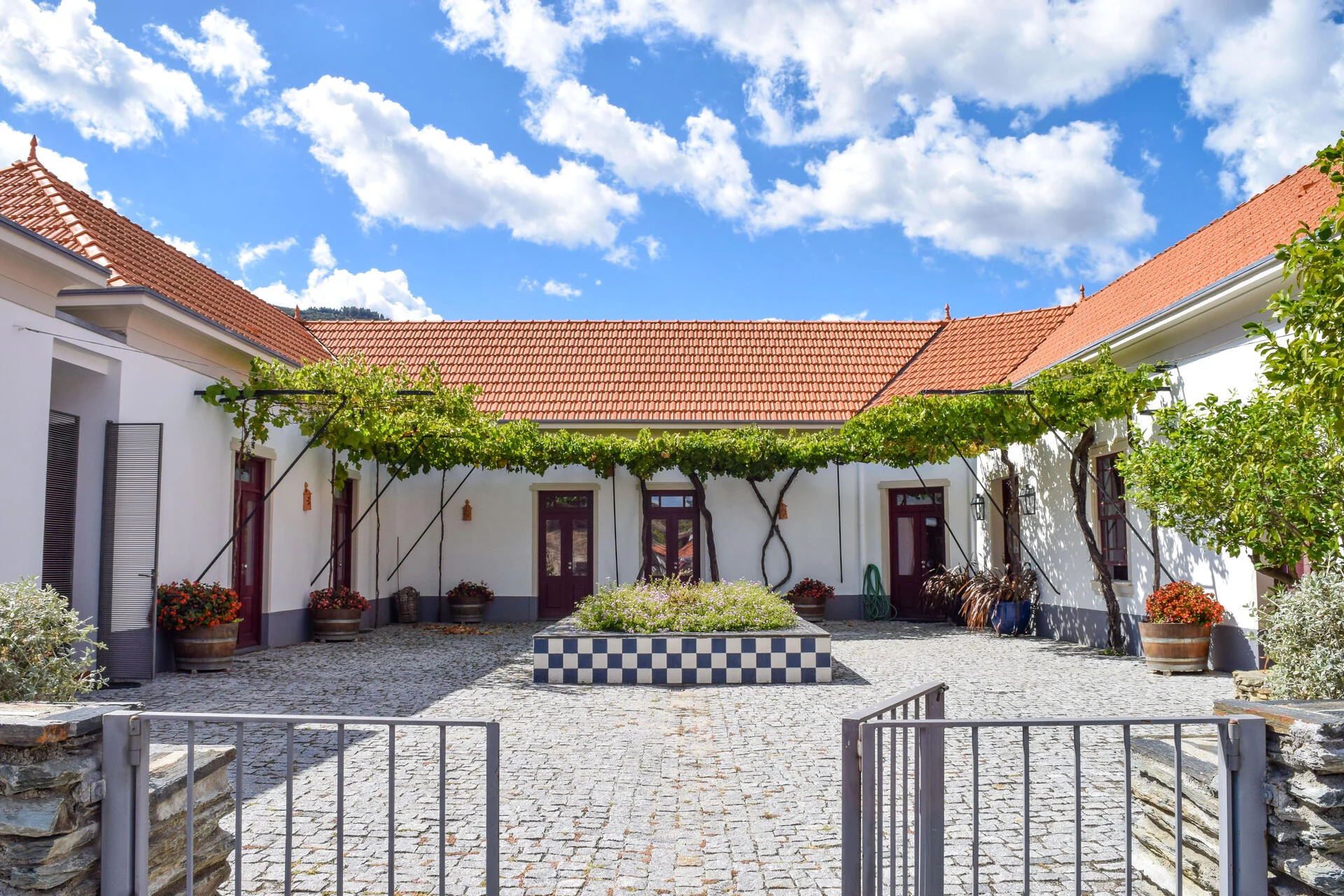 Quinta do Tedo – Visita & Prova de Azeites