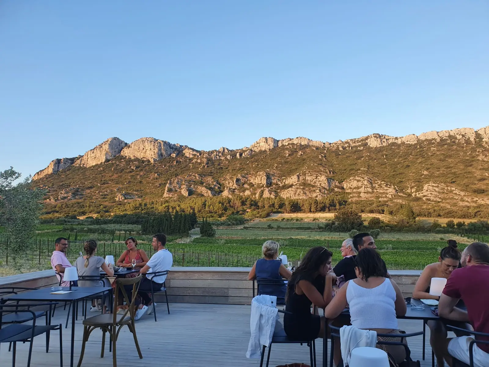 Visit of the Estate & Tasting