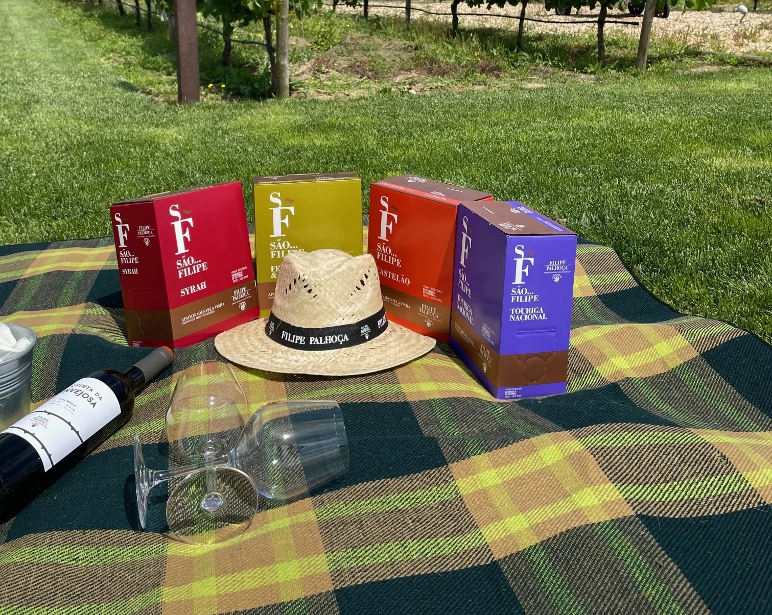Filipe Palhoça Vinhos – Picnic nas Vinhas