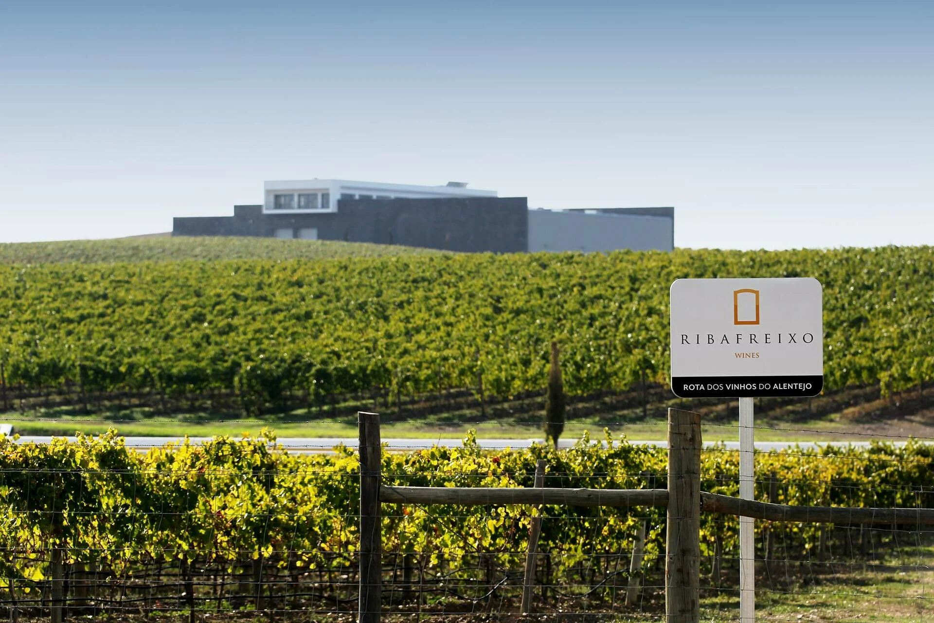 Ribafreixo Wines – Visita & Prova “Terroir”