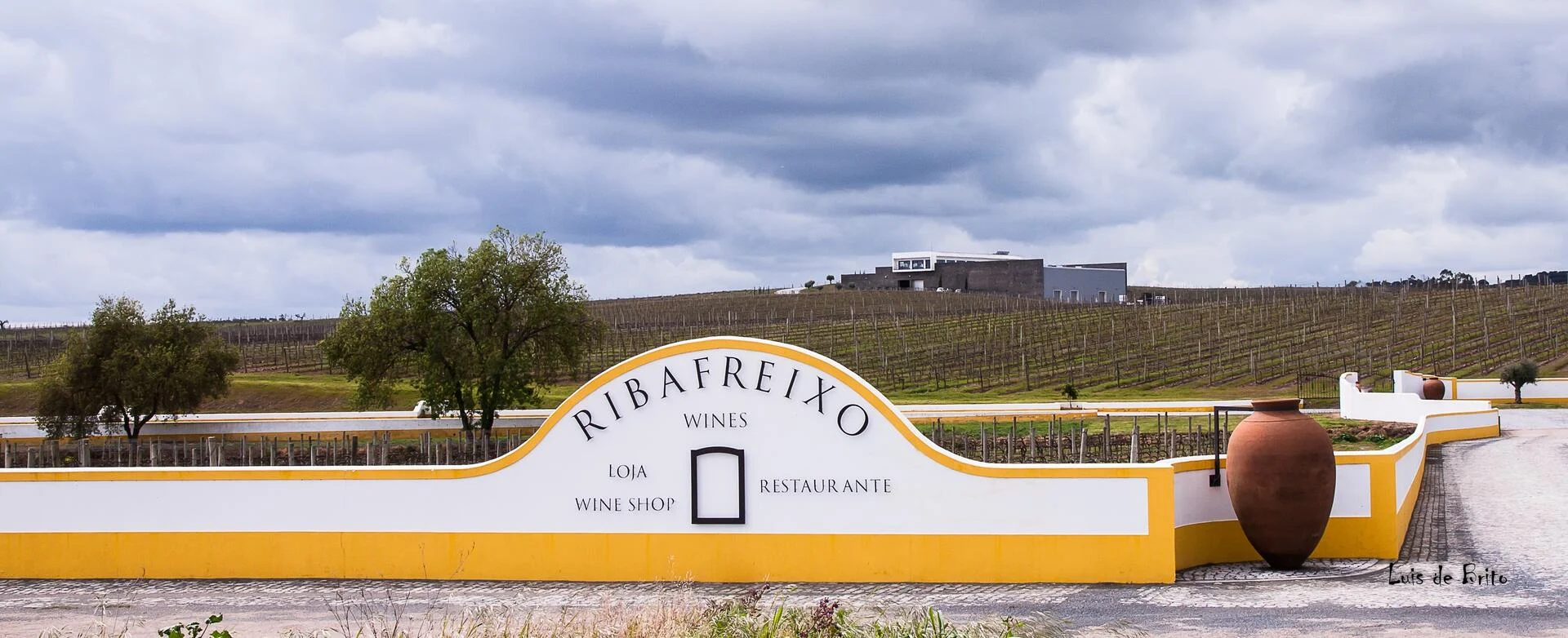 Ribafreixo Wines – Visita & Prova “Terroir”
