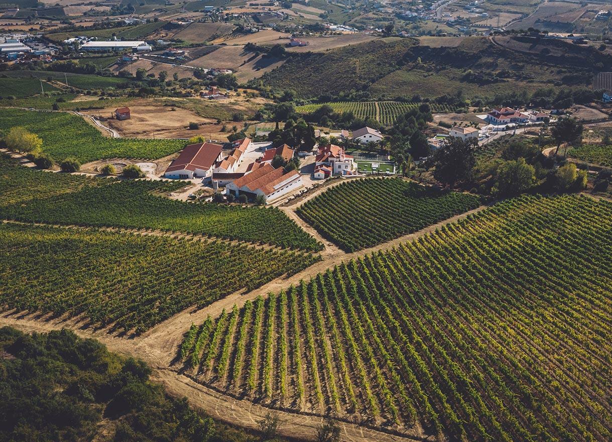 Quinta de S. Sebastião – Prova Silver