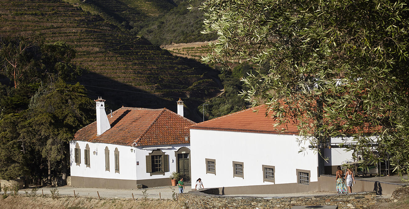 Quinta do Crasto – Visita & Prova Superior