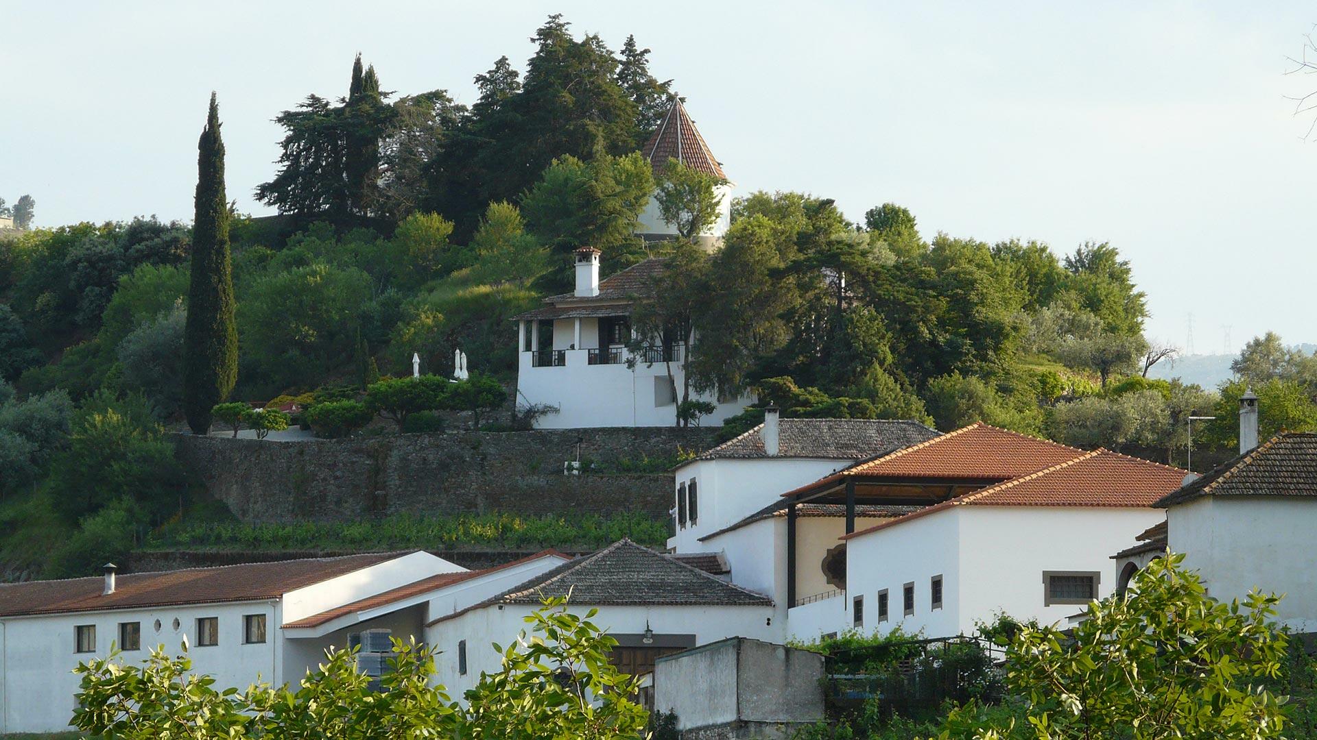 Quinta do Crasto – Visita & Prova Superior