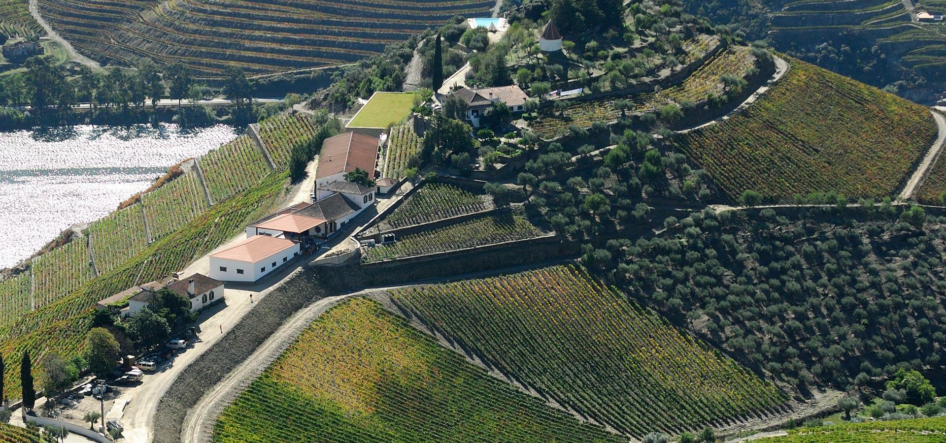 Quinta do Crasto – Visita & Prova Superior
