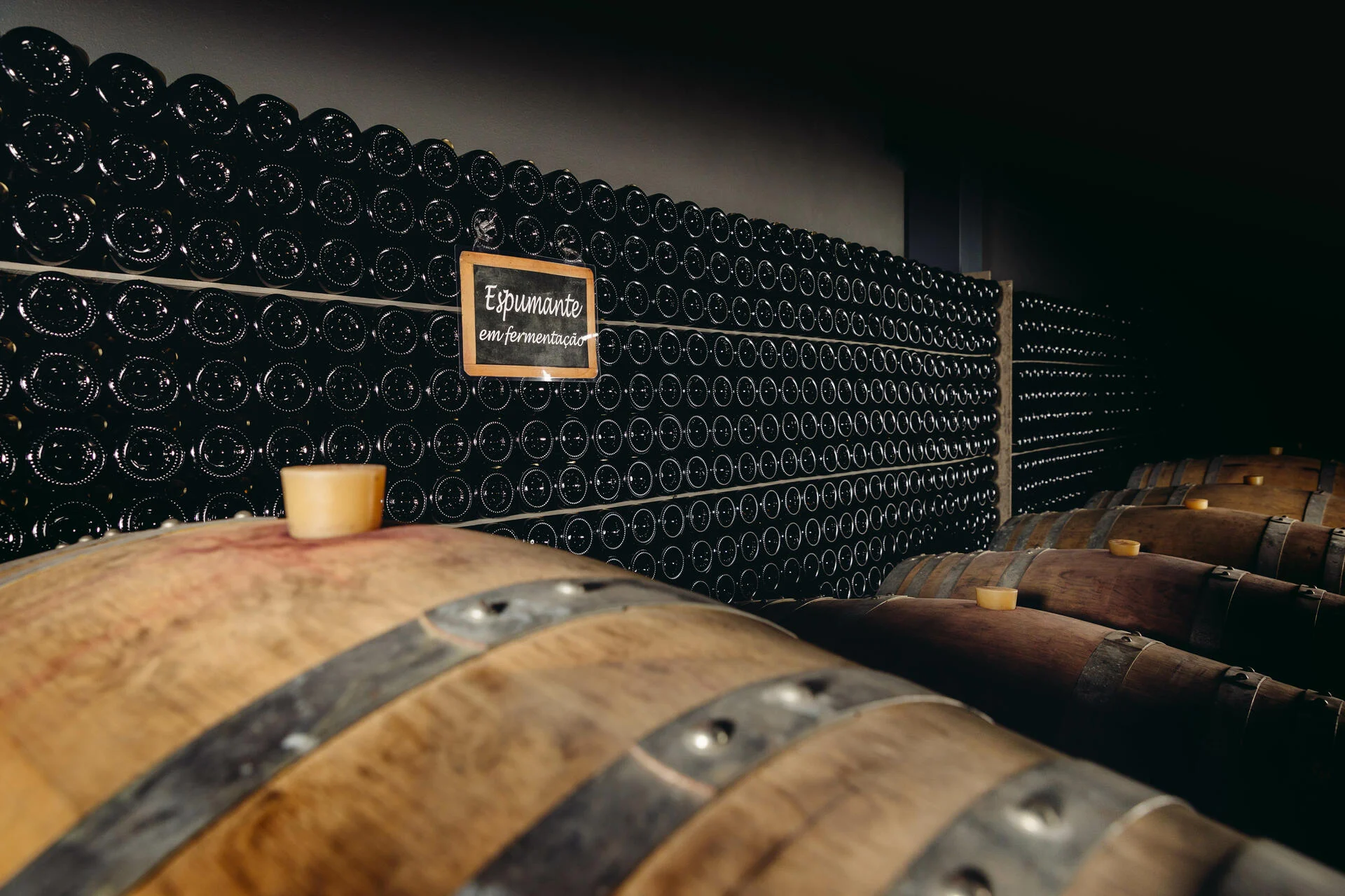 Wine Magnum – Visita & Prova Magnum