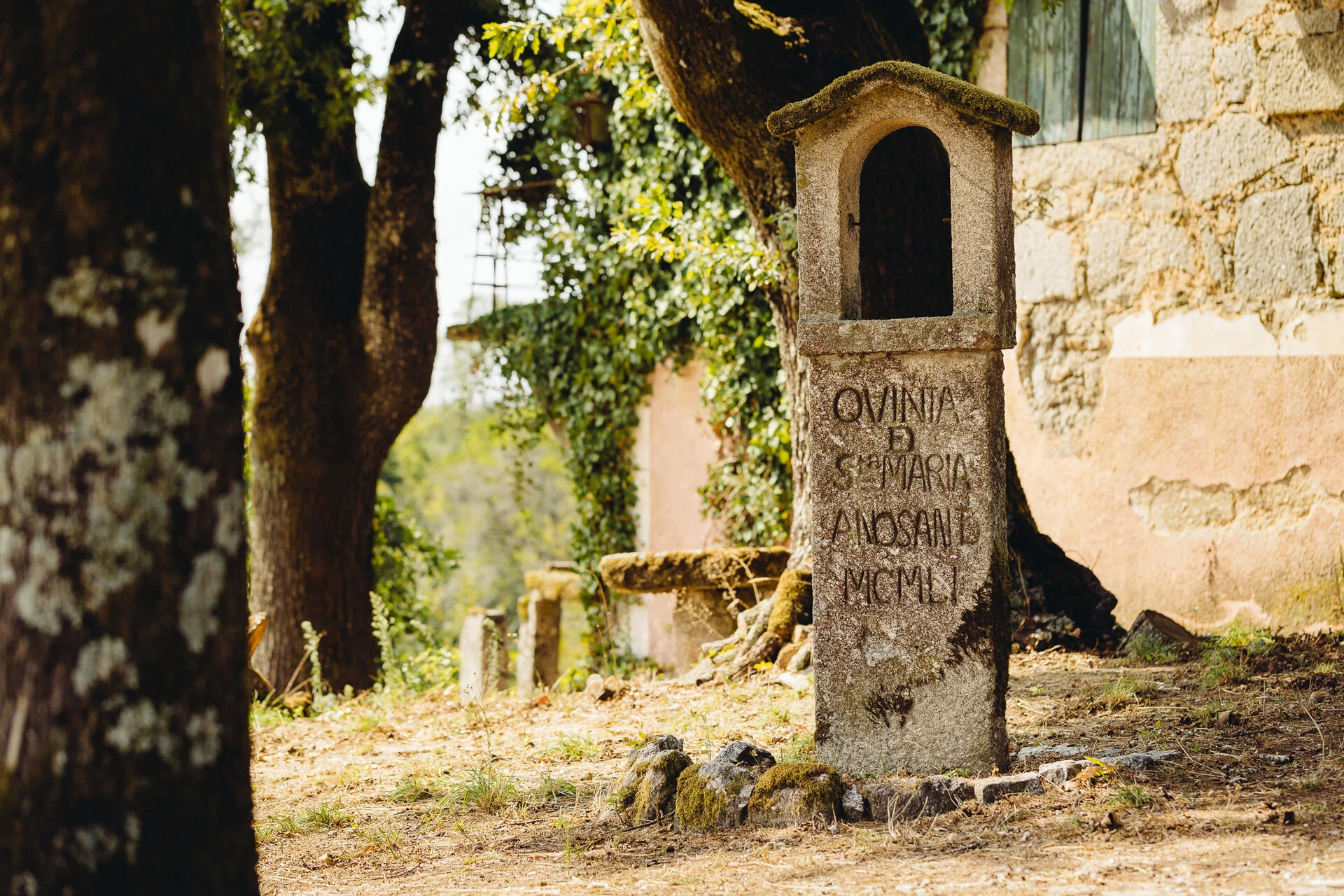 Wine Magnum – Visita & Prova Magnum