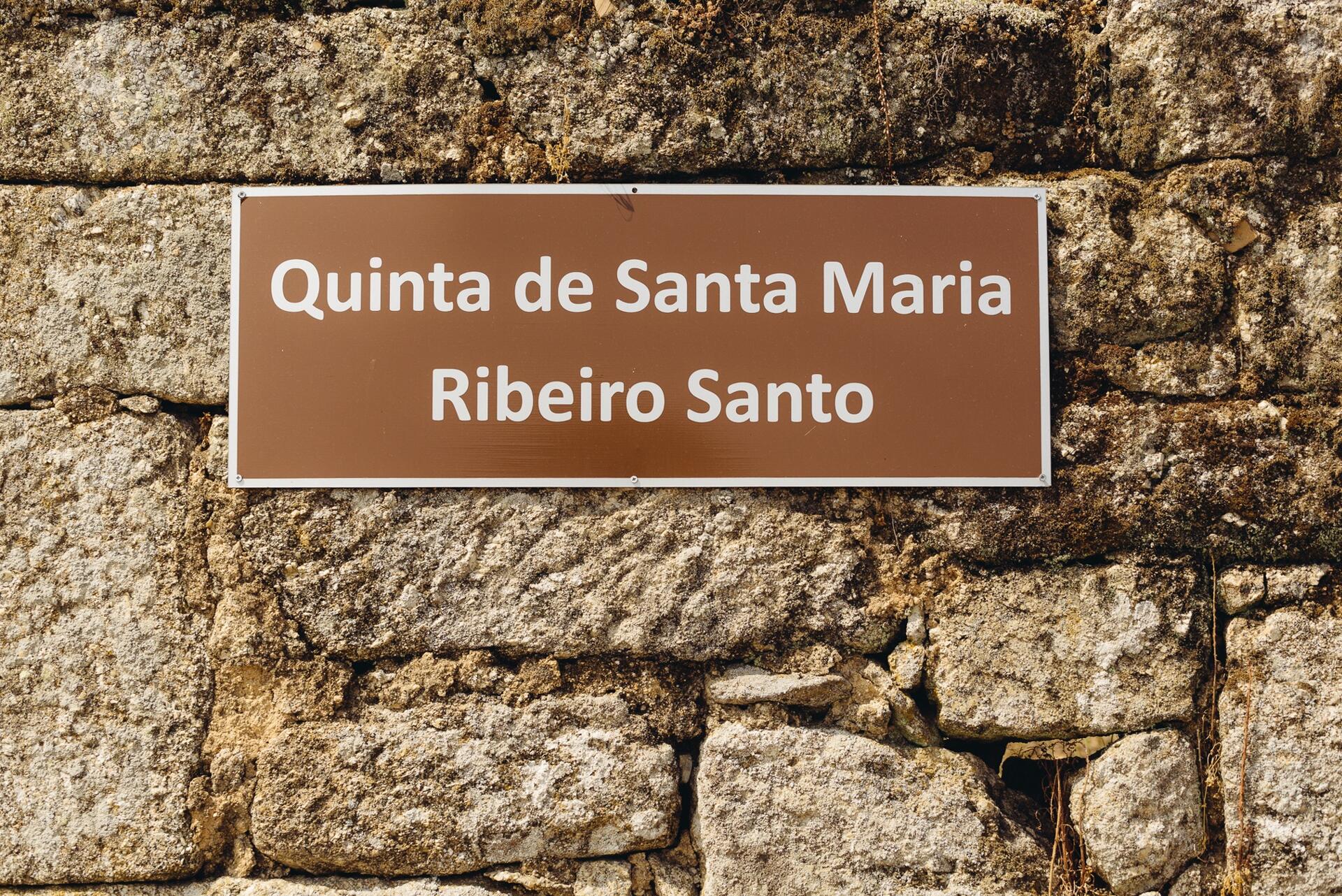 Wine Magnum – Visita & Prova Magnum