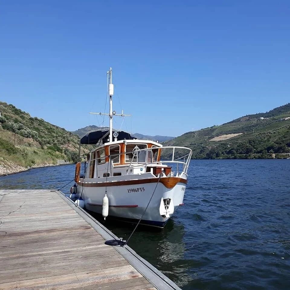 Douro de Excelência