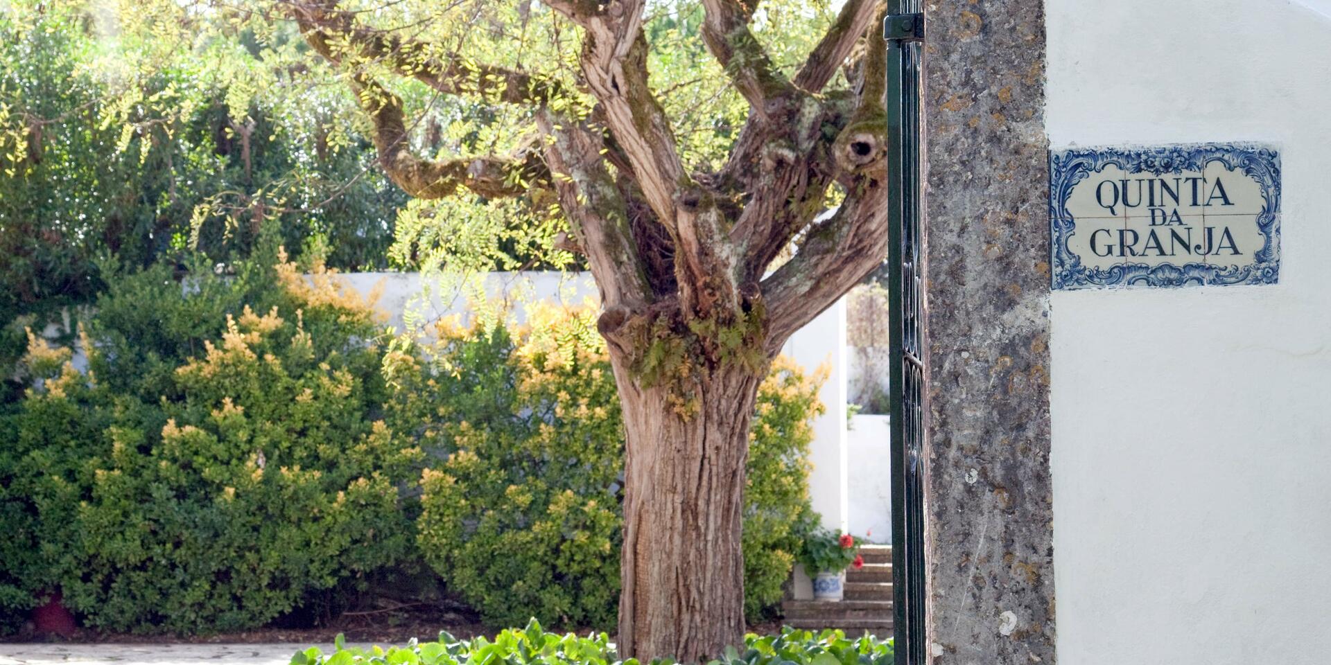 Quinta da Casaboa – Prova Vinhos Únicos