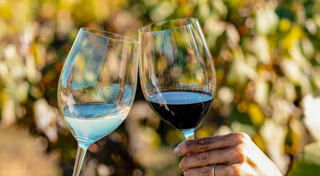 Quinta do Souvall – Visita & Prova de Vinhos