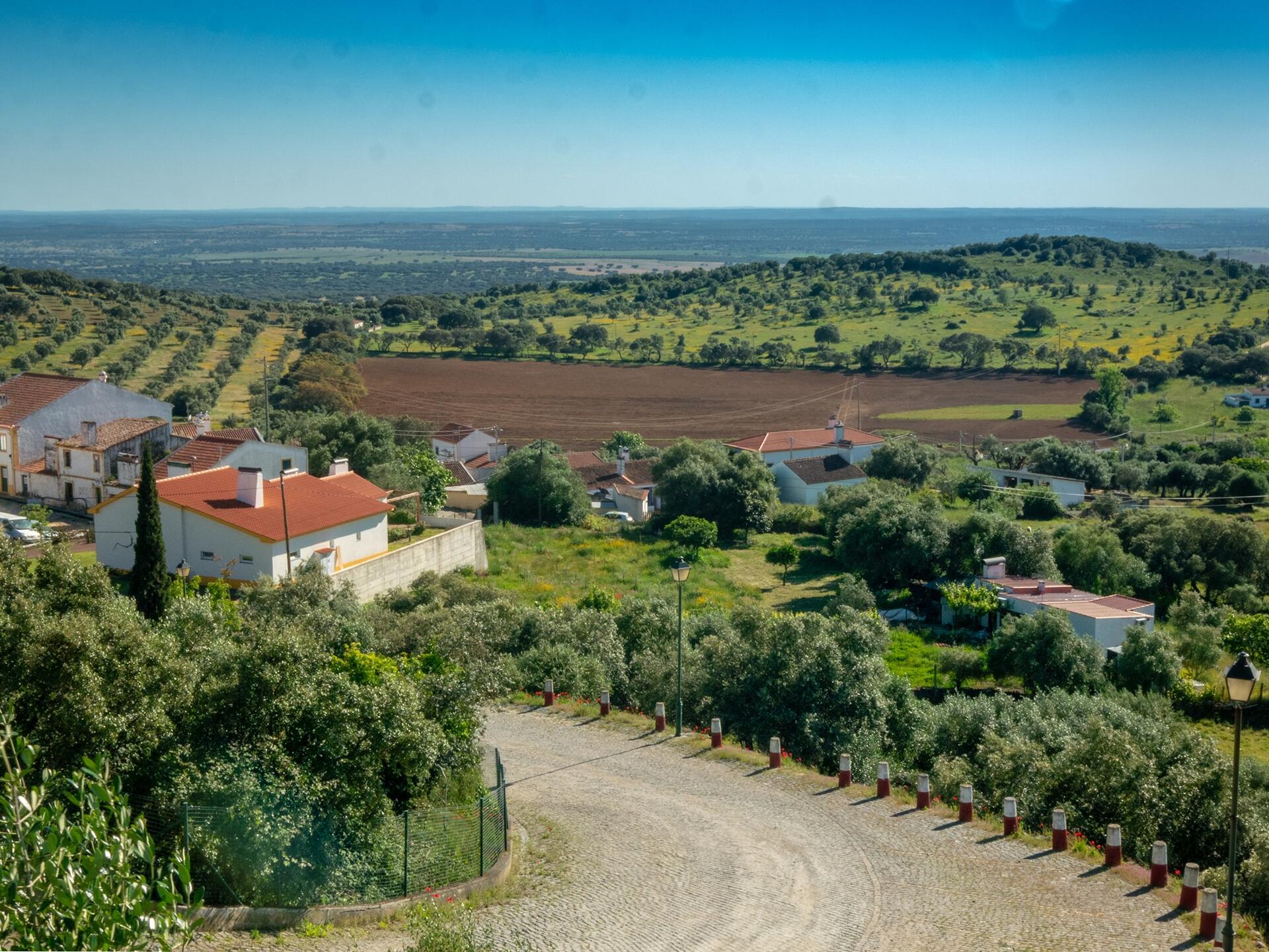 Pista Wines – Prova Reserva