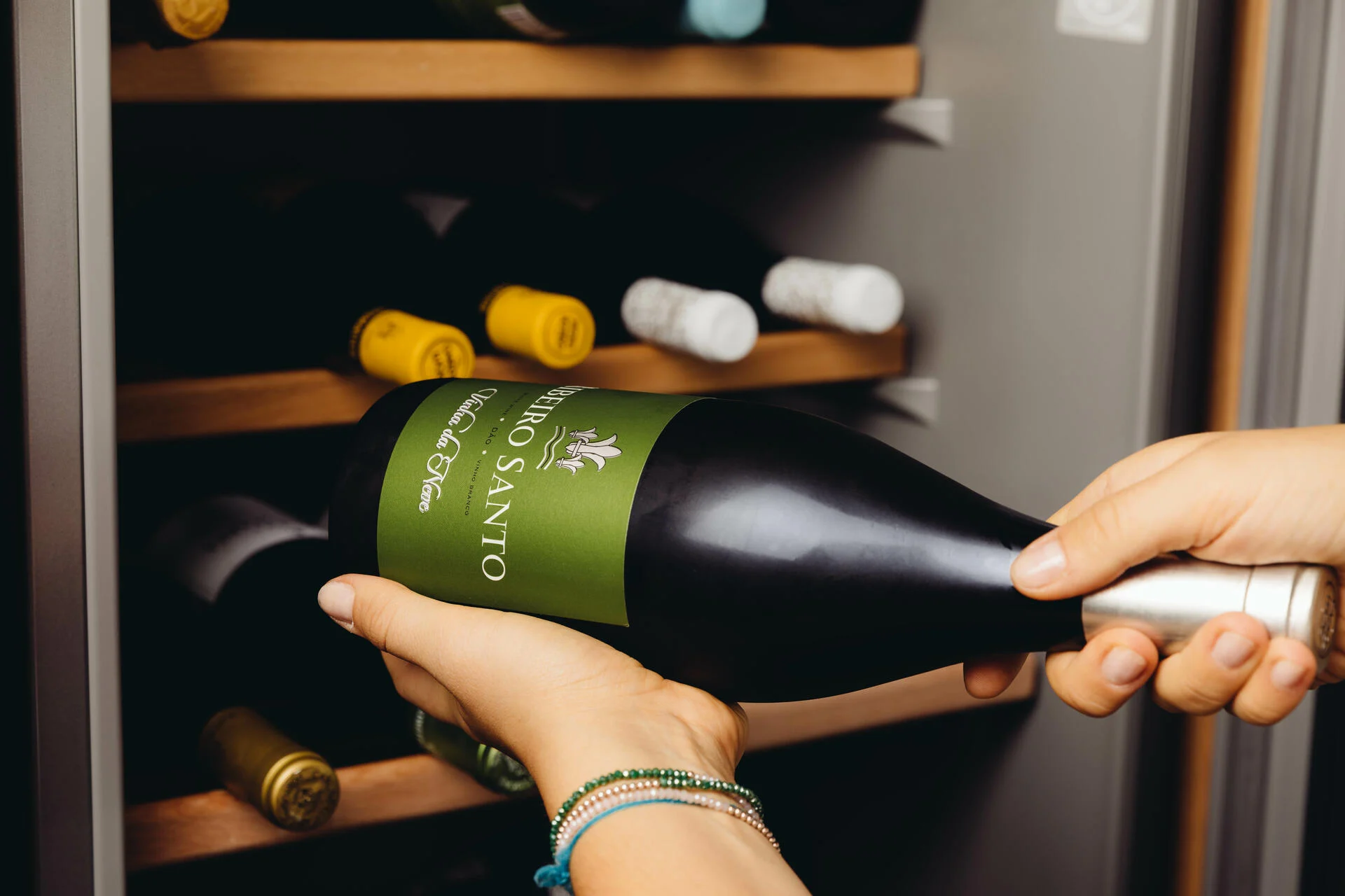 Wine Magnum – Da Vinha à Mesa