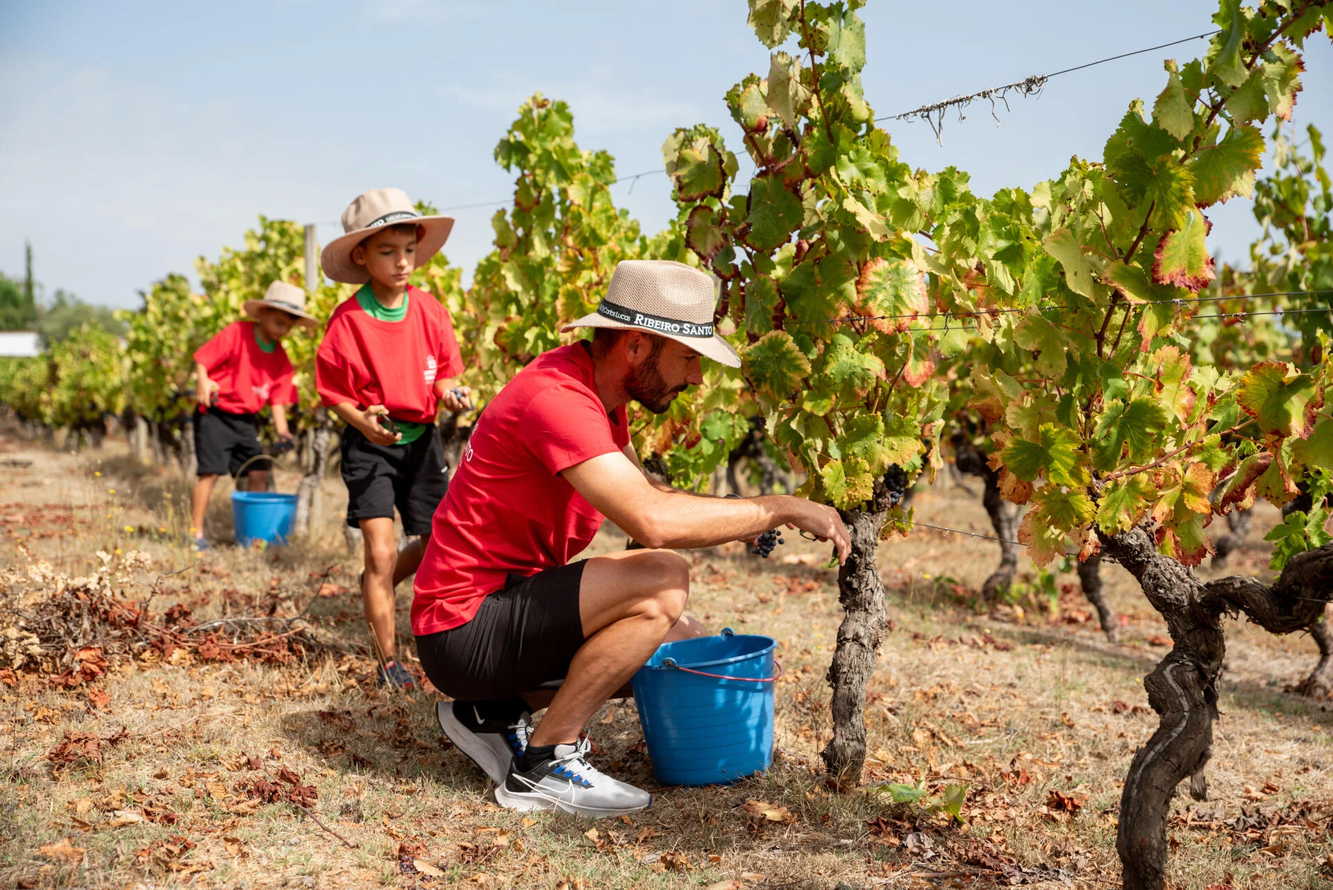 Wine Magnum – Festa das Vindima