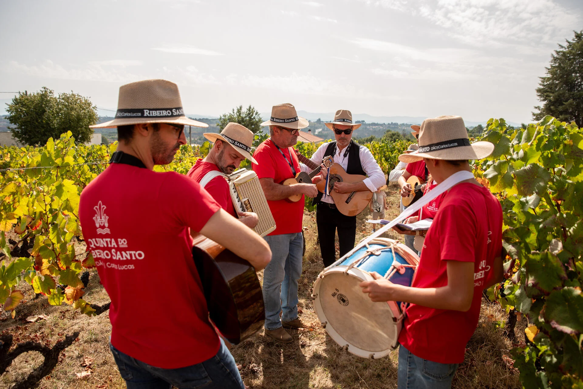 Wine Magnum – Festa das Vindima