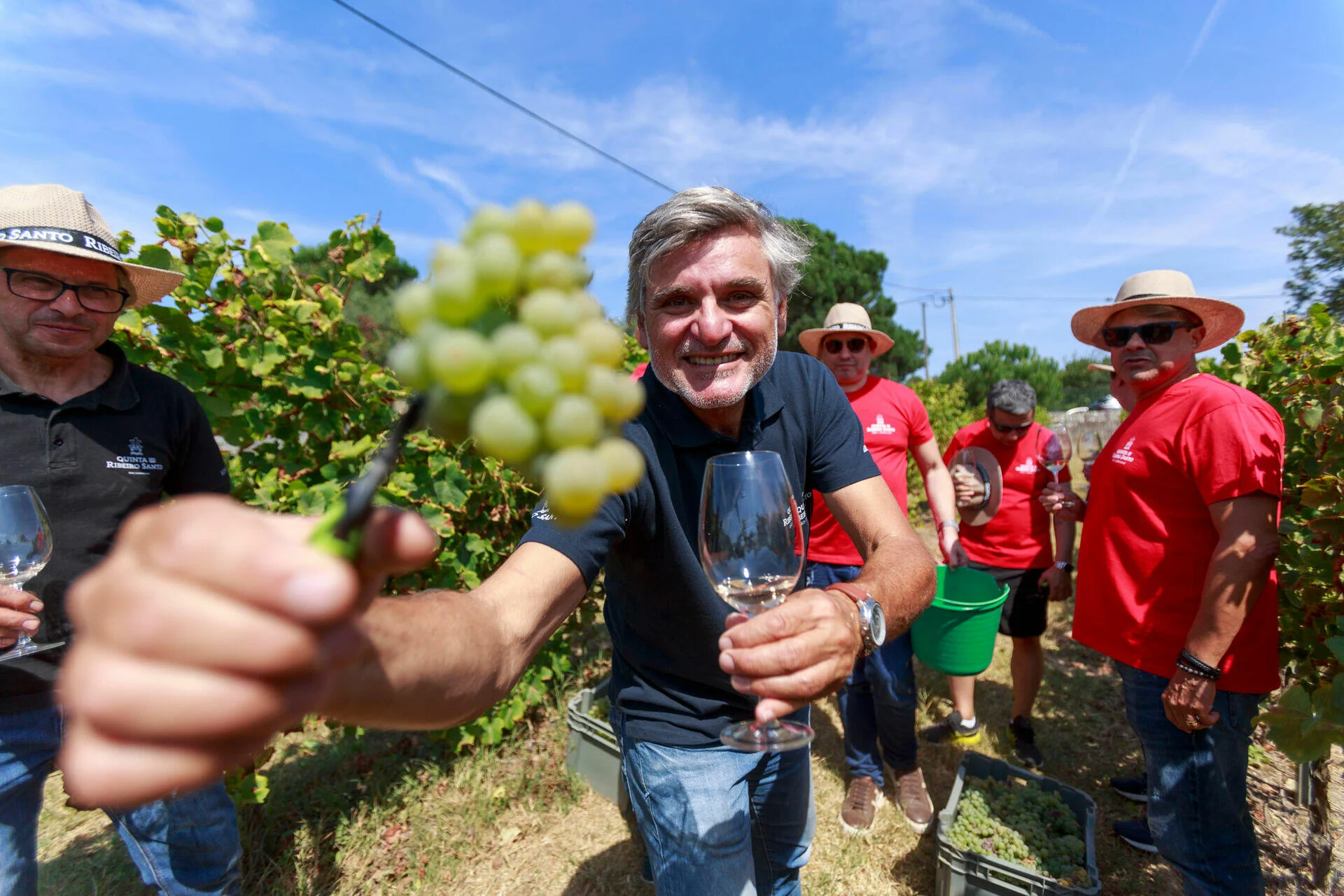 Wine Magnum – Festa das Vindima