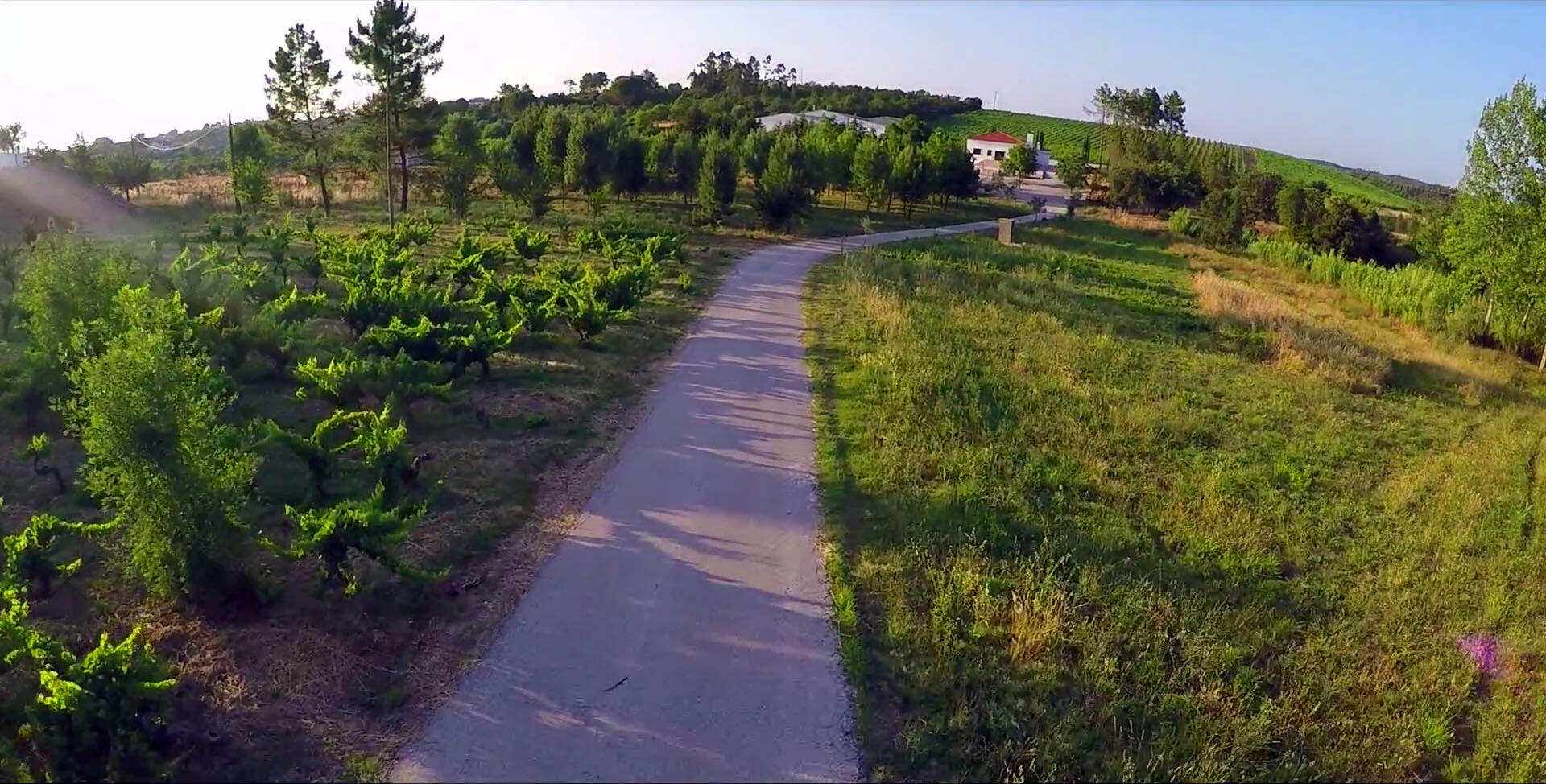 Herdade dos Templários – Visita & Prova de Vinhos