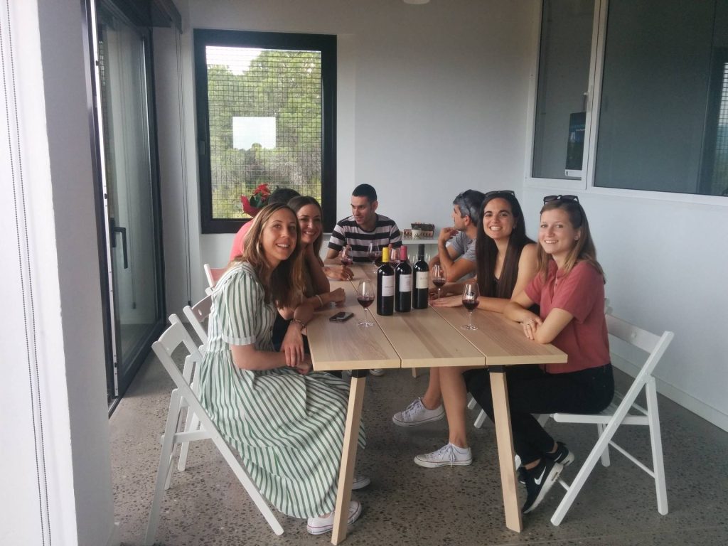 Guided tour of the vineyards and tasting in the winery