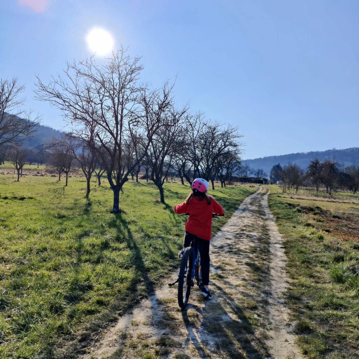 E-MTB ride and tasting