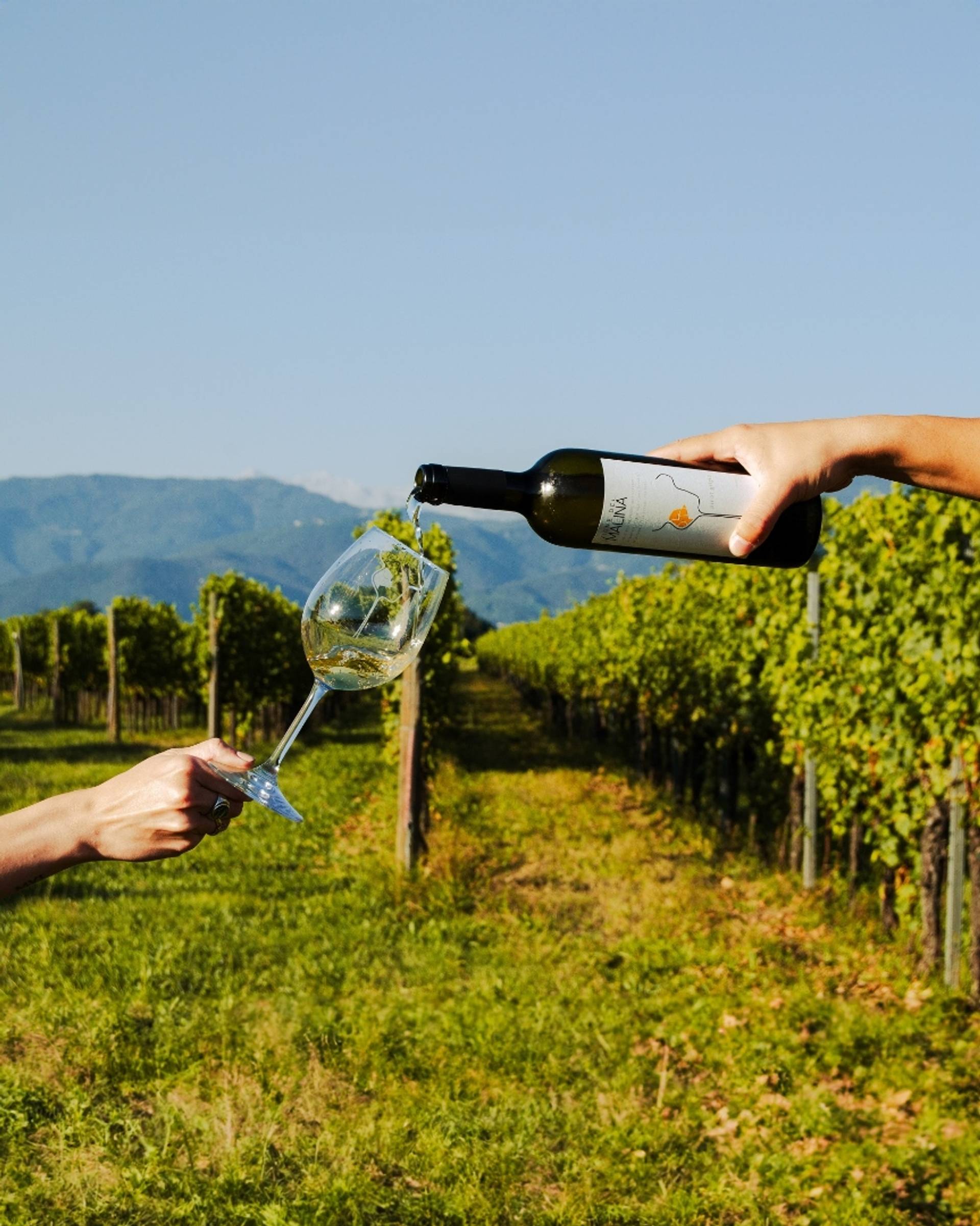 A journey through wine, honey and terroir