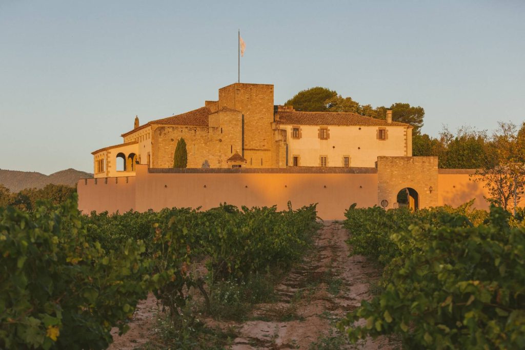 Visit Wine Lovers and Tasting of Unique Wines