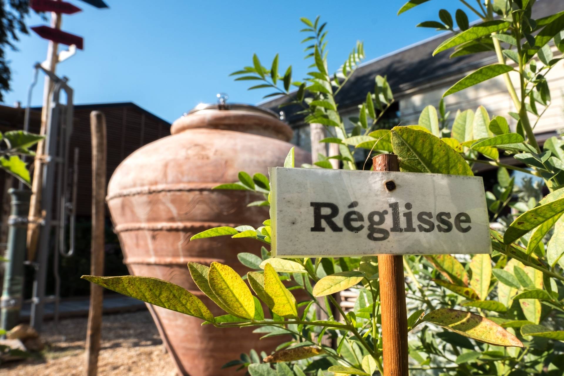 Sensory game in “The Aromatic Garden” – Game and Tasting