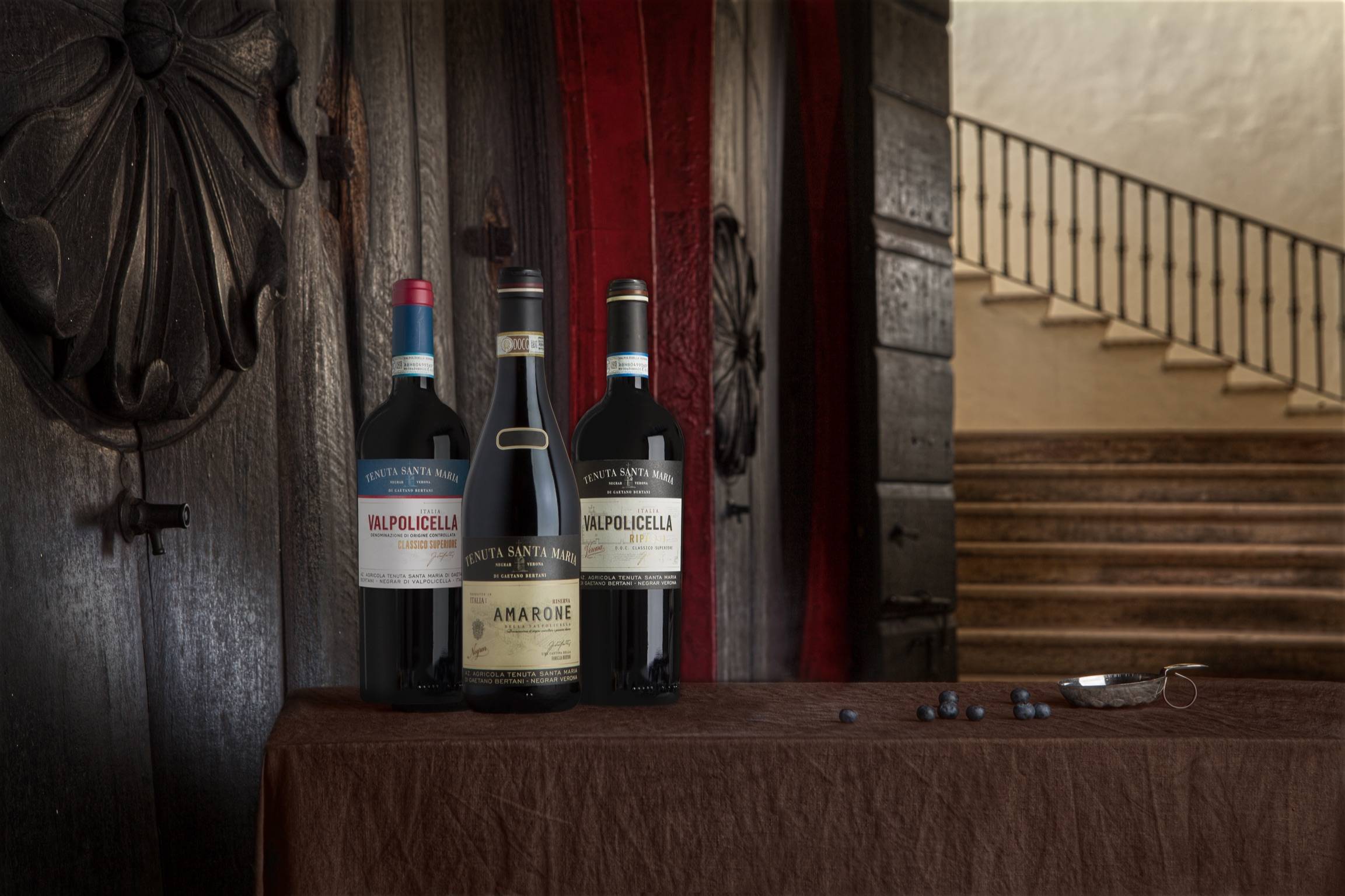 Tasting of 6 Veronese wines in a historic winery