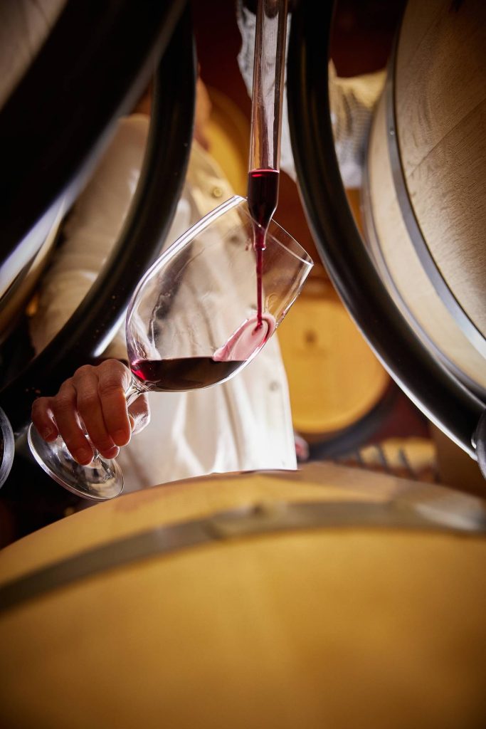 Private visit to the winning horse from Ribera Duero