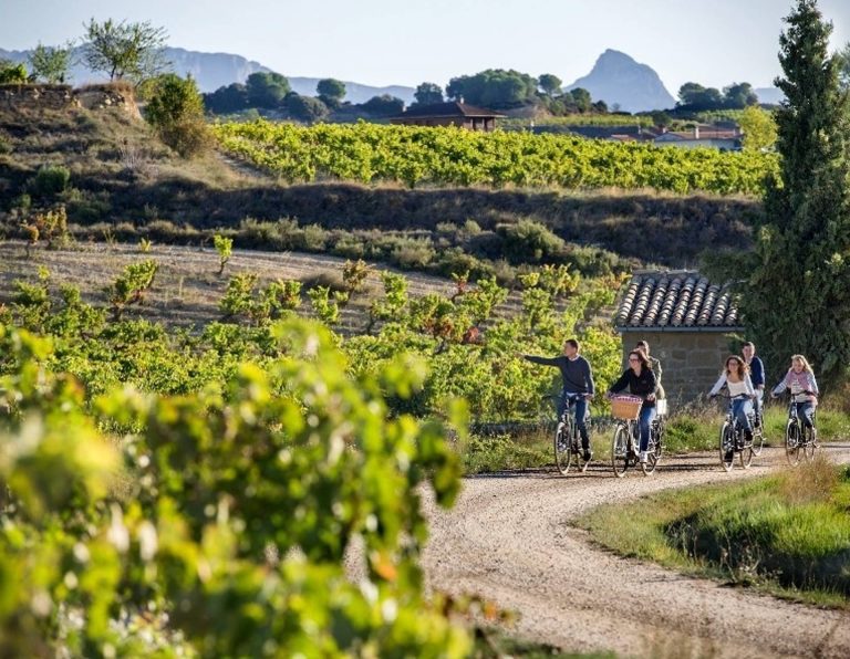 Bike ride and wine tasting