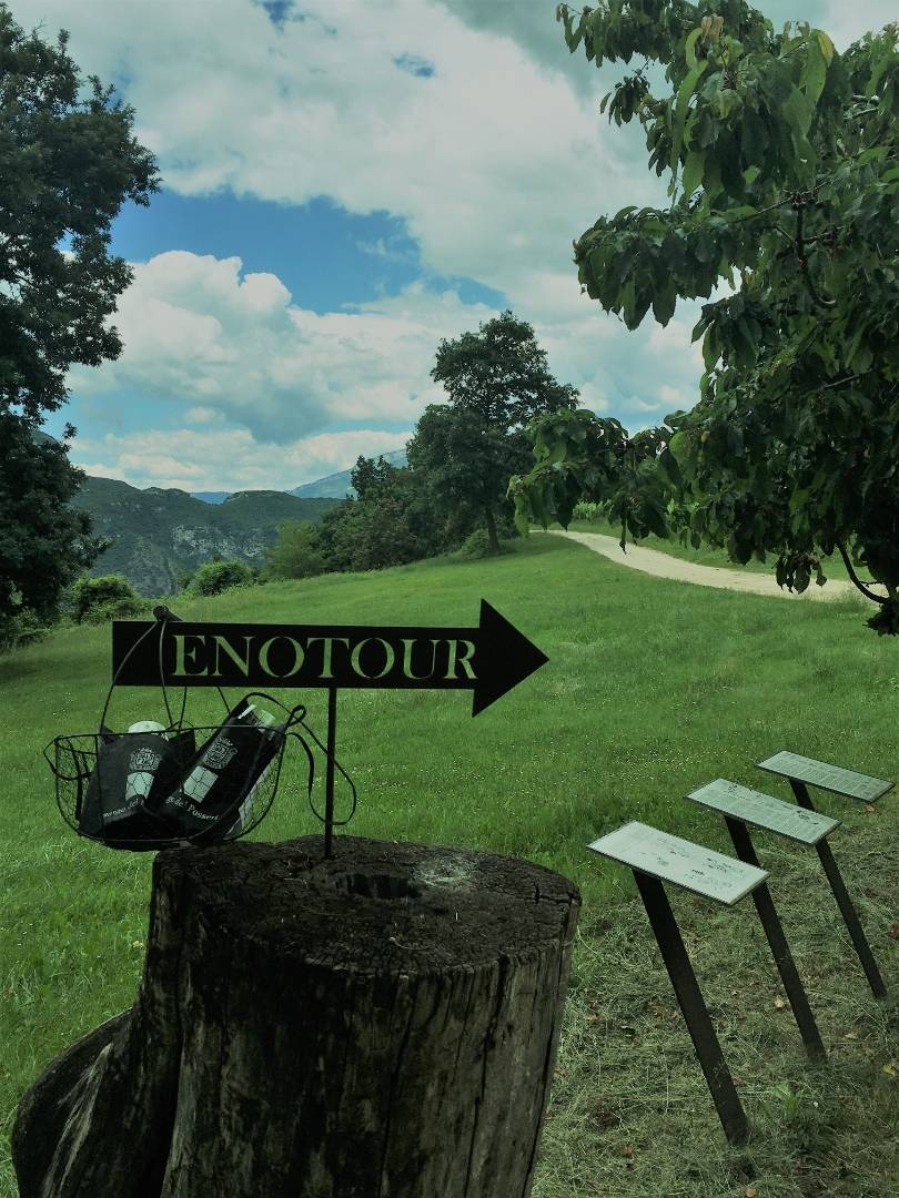 Enotour – A tasting among the vineyards