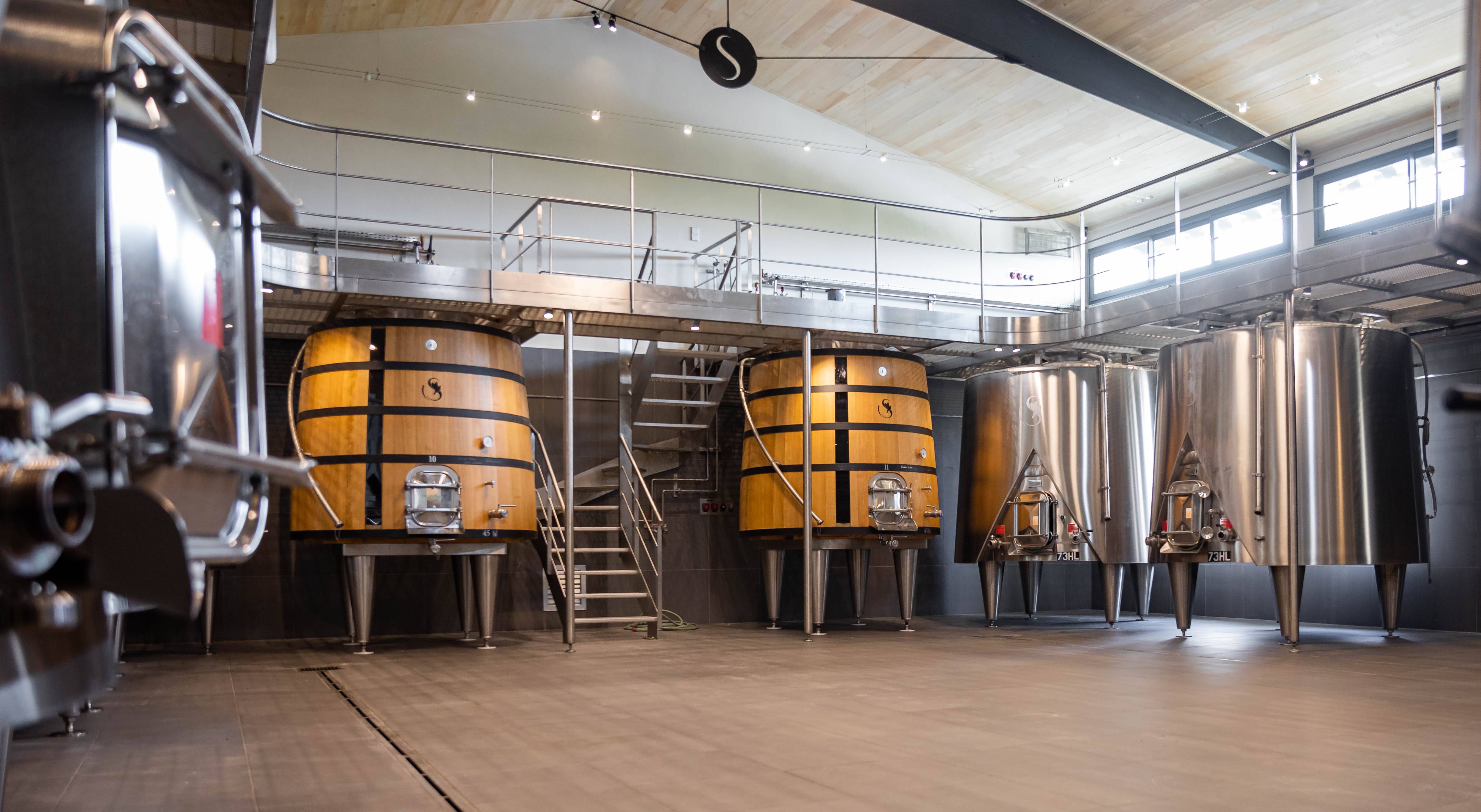 Immersion workshop “In the footsteps of the winemaker”