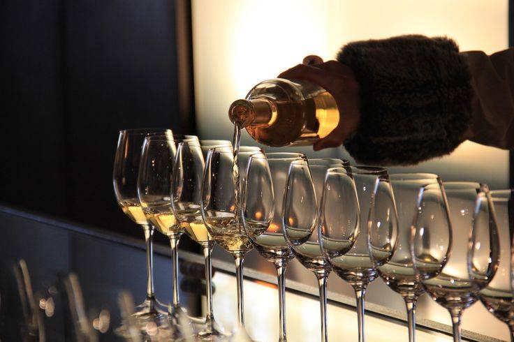 Introduction to Wine Tasting