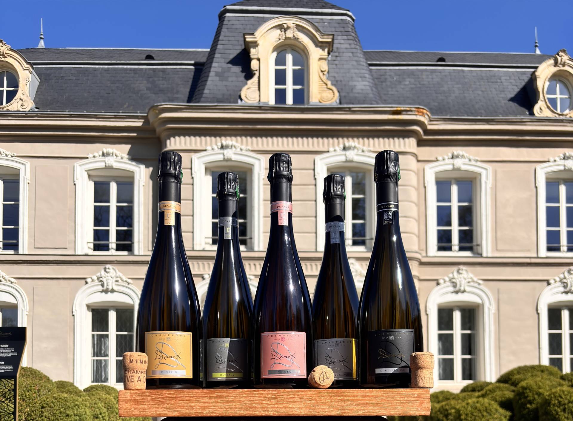 The D Collection: immersion