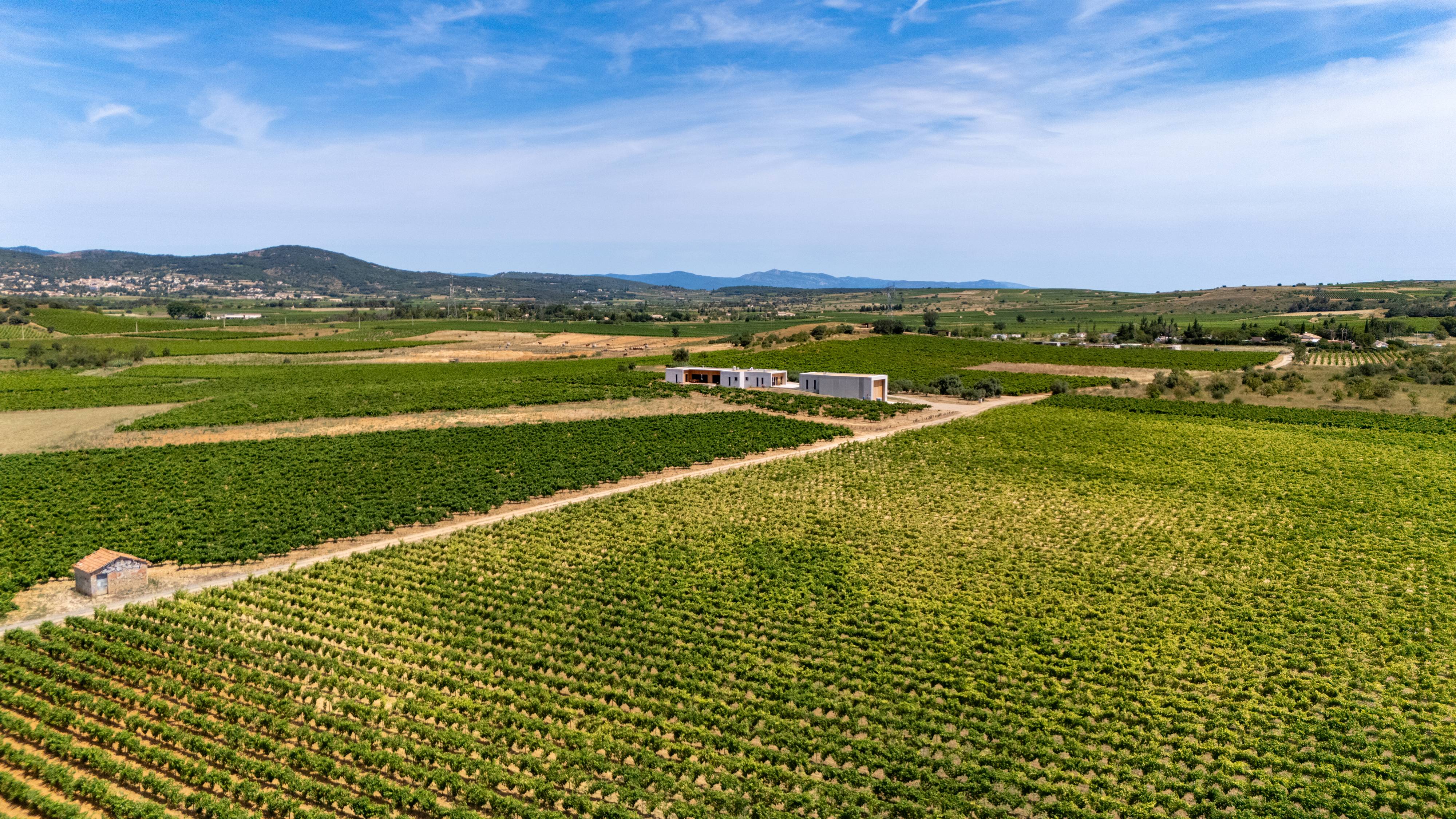 In 3 stages: 3 wines – 3 bites