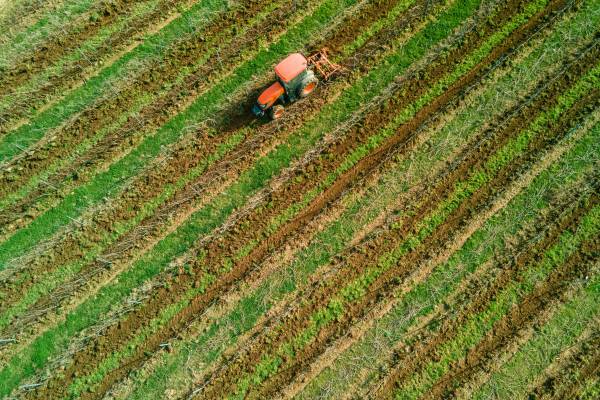 Oenological workshop at the Château Vaudois