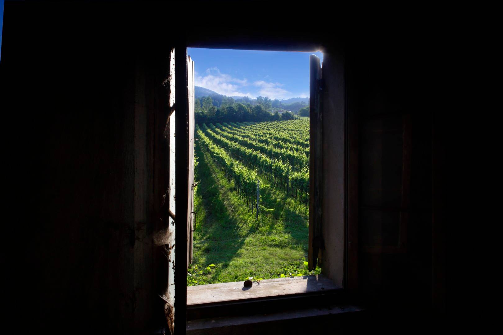 A Midsummer Night’s Dream