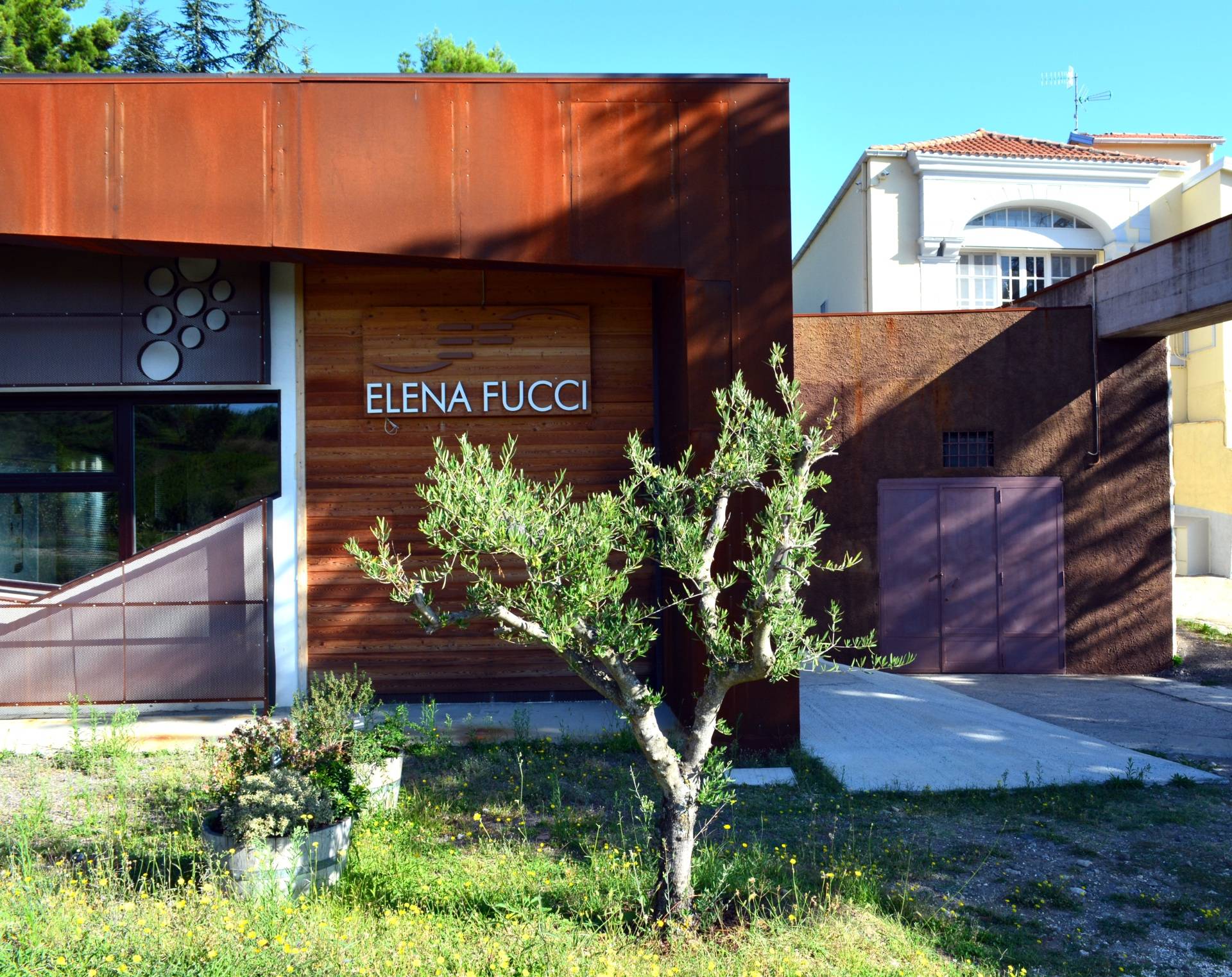 Discover Title World & Old Vintage