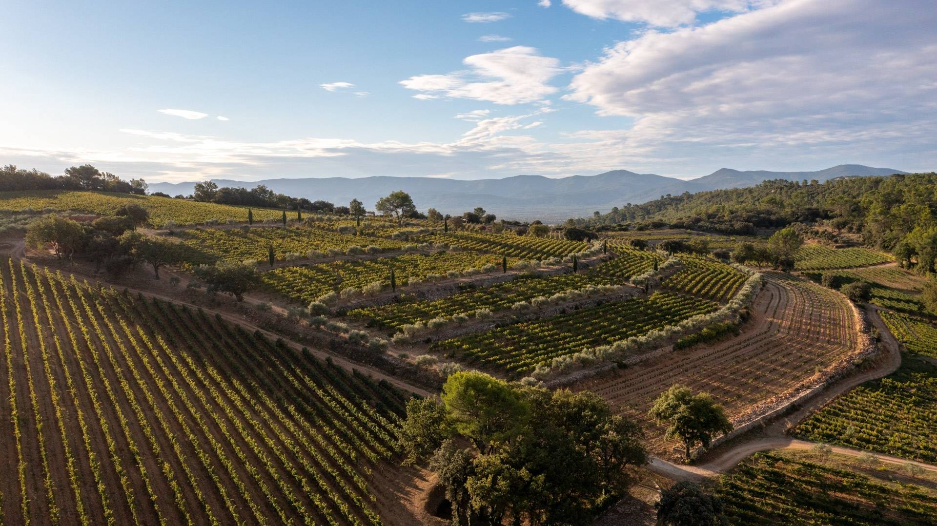 The Quintessence of La Mascaronne