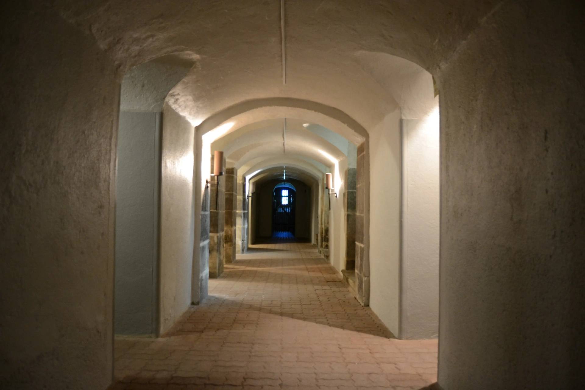 Visit to the vaulted cellars