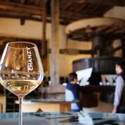 3 grape varieties to taste