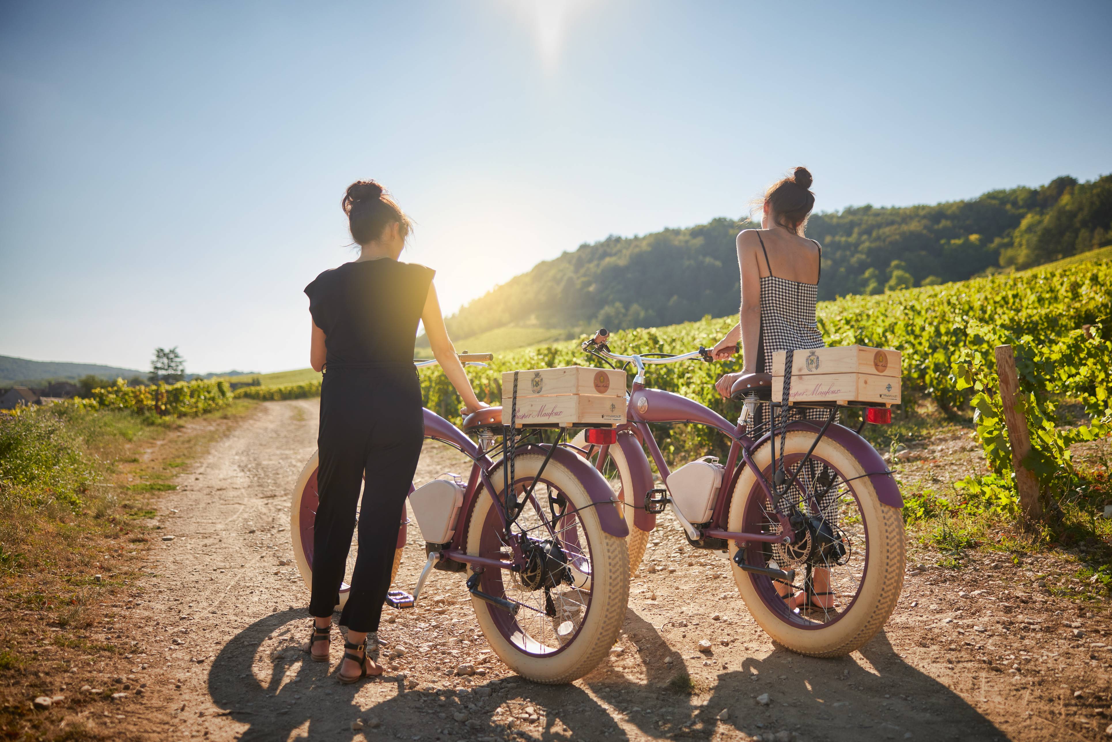 Vineyard Bike Experience
