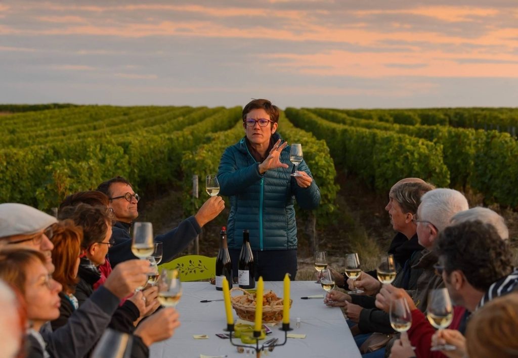 From vine to wine tour