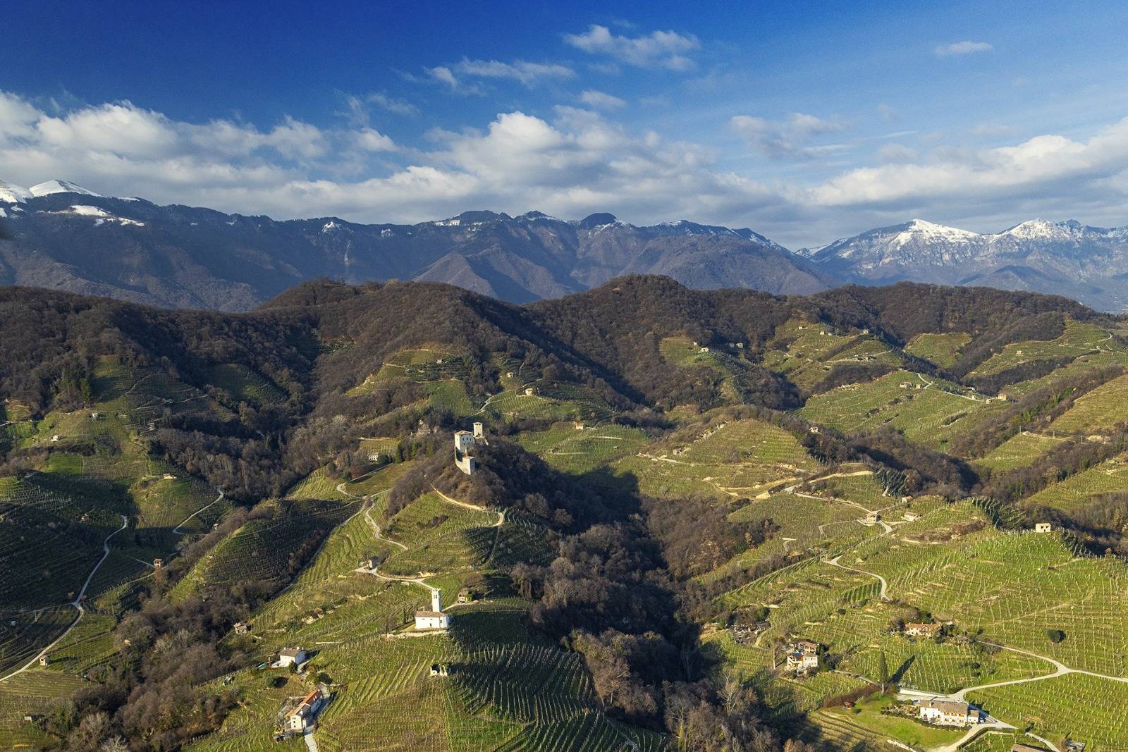 Tasting in the cellar