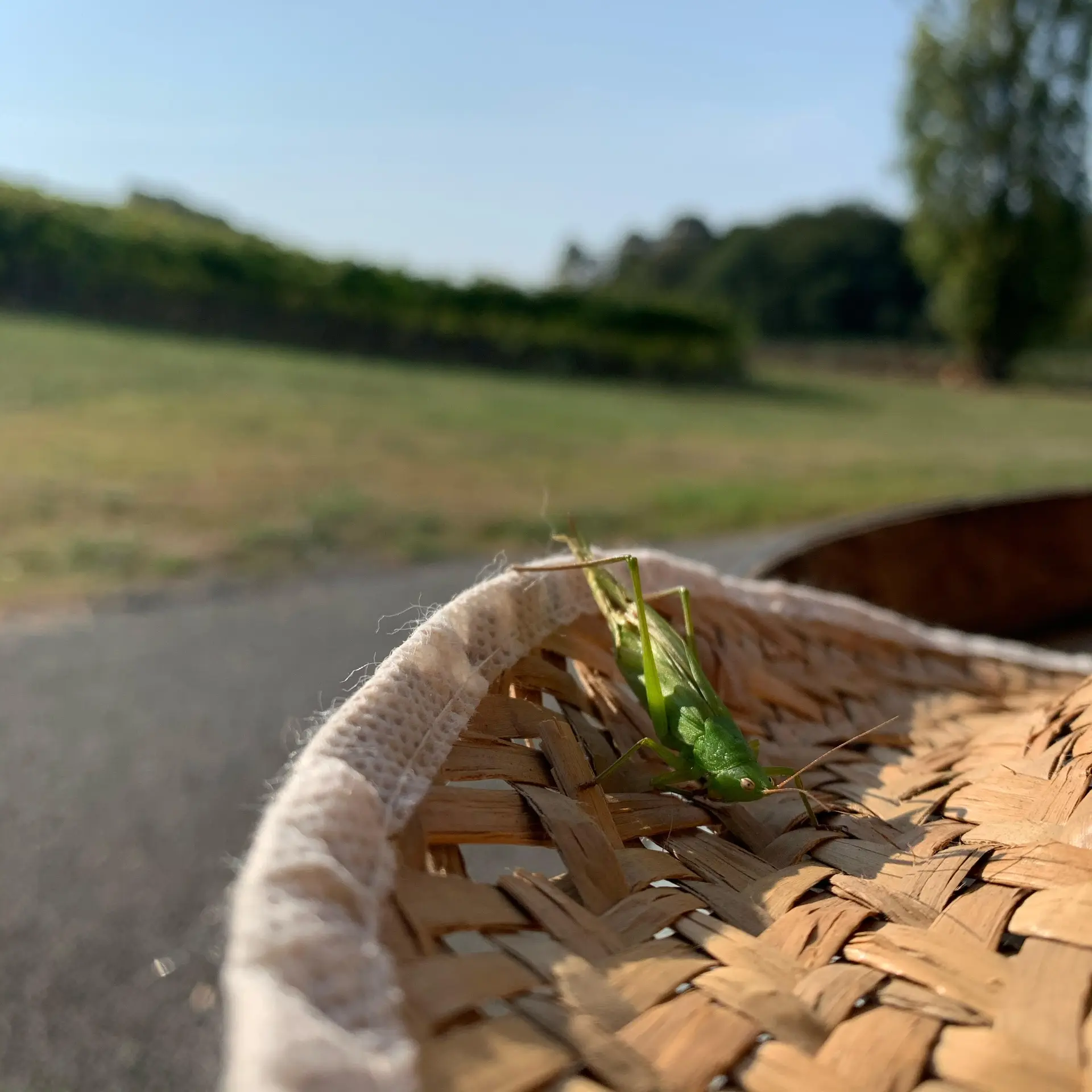 Oenophile & tasty tour