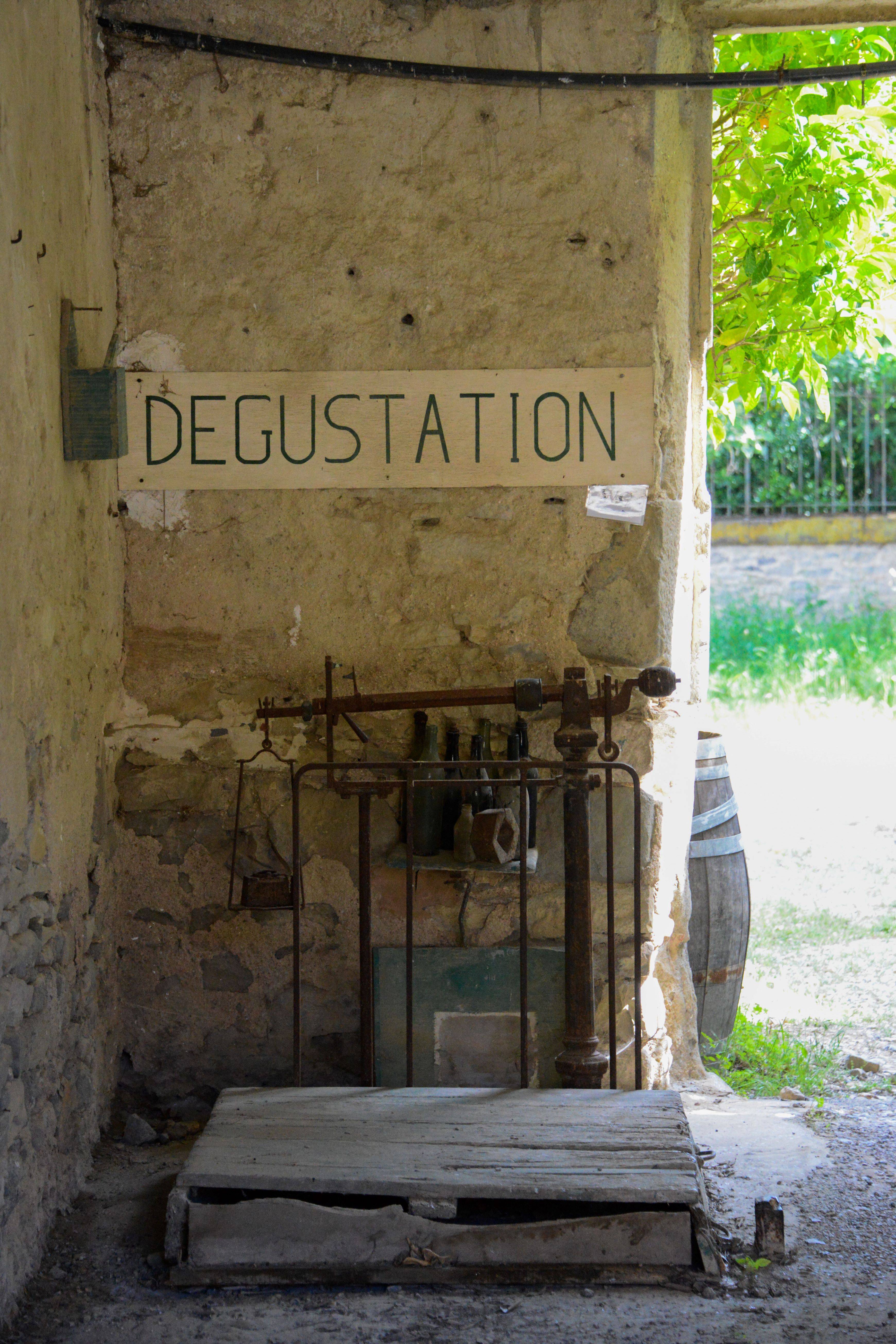 Tasting in the cellar